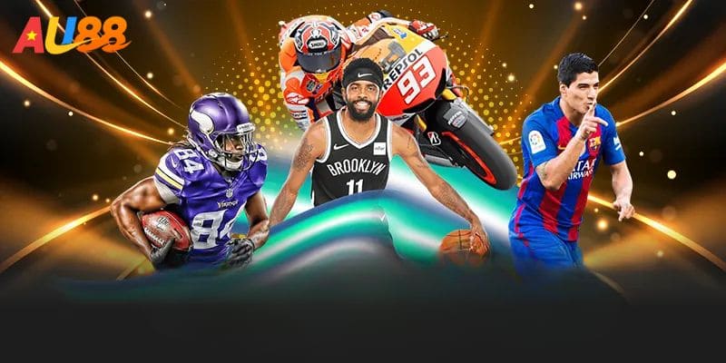 Trải nghiệm các trận đấu đá gà hồi hộp và đầy kịch tính